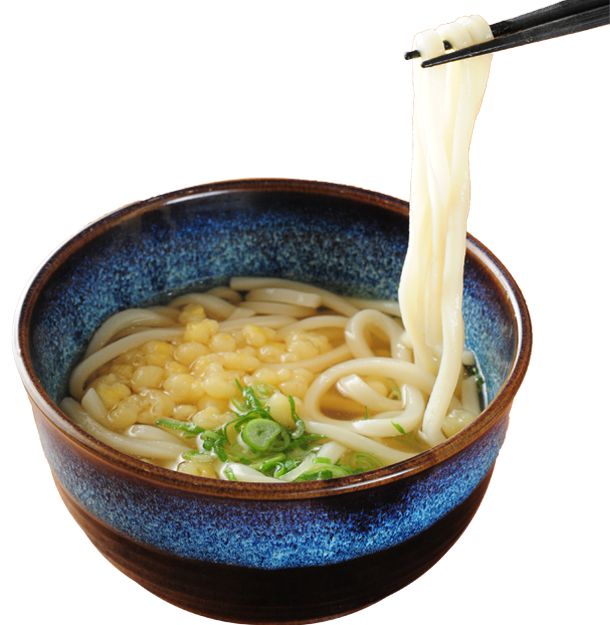 うどん 並盛